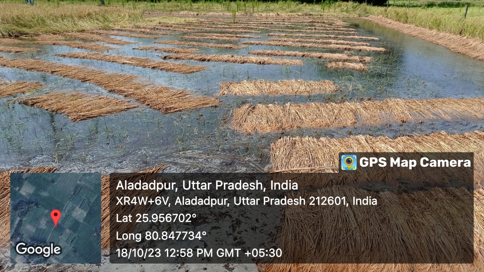 Field Activities