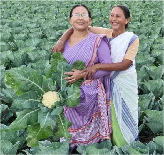 Championing Sustainable Agriculture: Rekha Buragohain, A Progressive Woman Organic Farmer from Assam